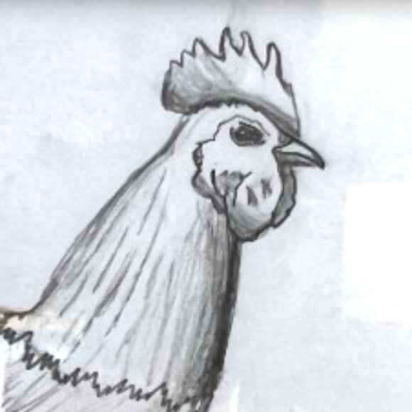 ROOSTER DRAWING White Ornate Cream Frame Signed Pencil Drawing 10.75" x  7.75" H - Picture 2 of 12